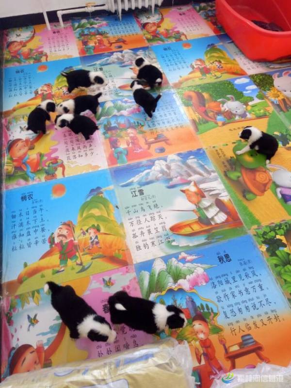 QQ图片20160913134806.jpg