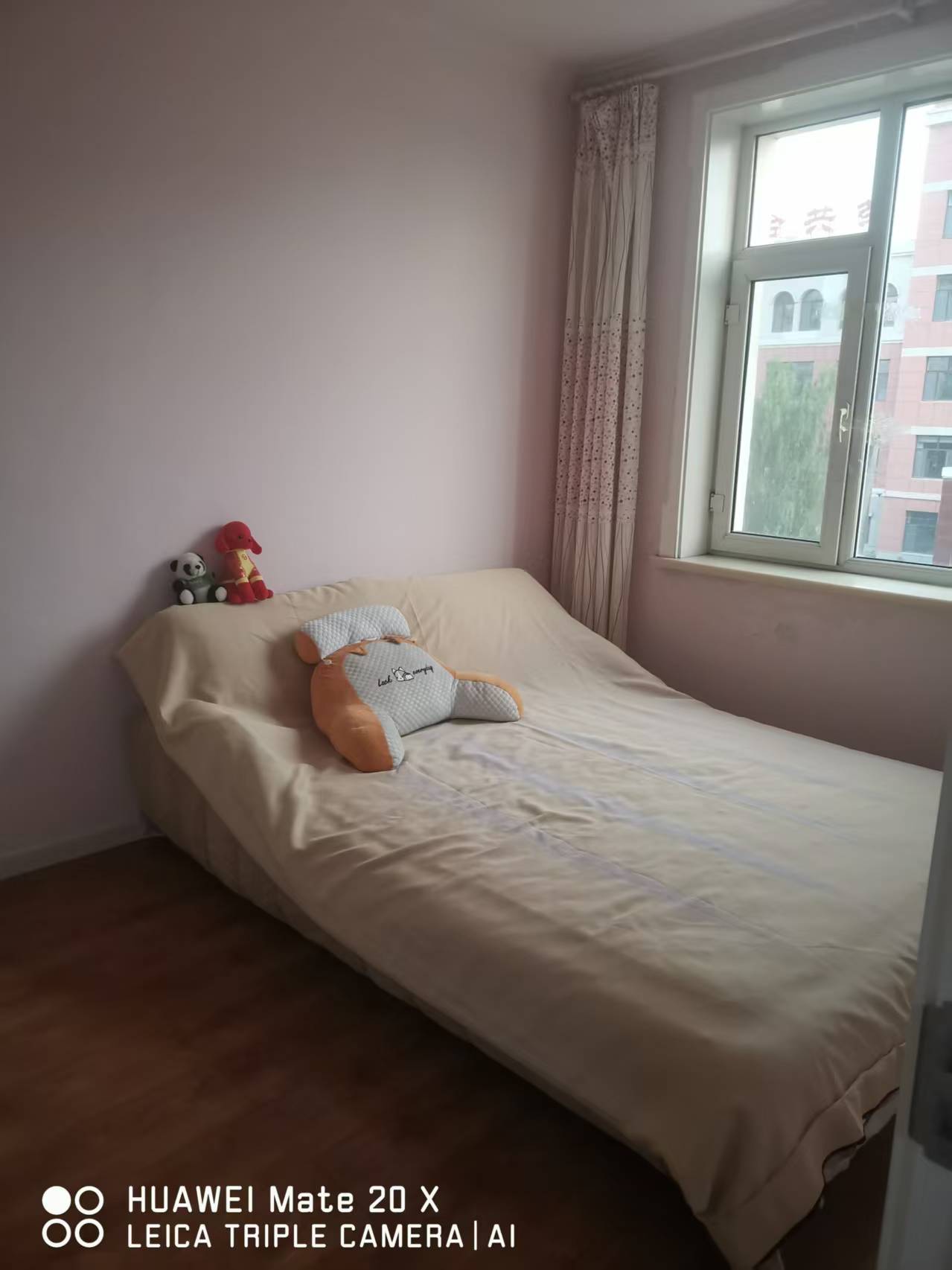 mmexport1787623572501.jpg